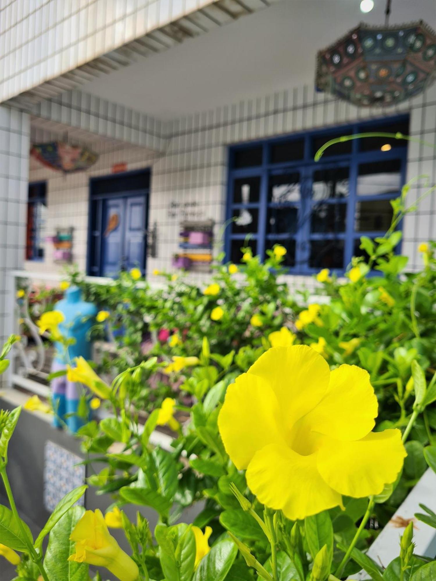Soul Hostel 나탈 외부 사진